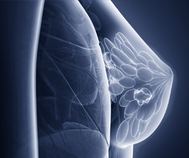 scehduled-event-cover